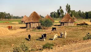 maison éthiopie.jpg