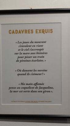 17017123_1450108828364640_2715480779680569129_o