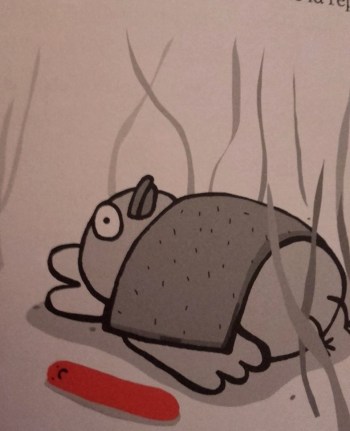 19250444_1605985846110270_3900032410627615500_o