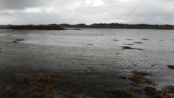 20449075_1657555200953334_5198398256190927629_o