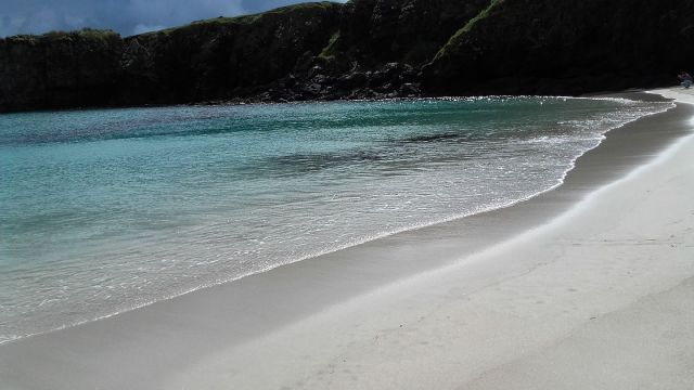 20506921_1661341597241361_2703244412111206148_o