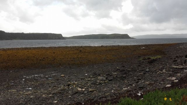 20745944_1679147225460798_8923784477184459892_o