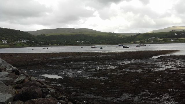 20785732_1679147855460735_2417743655913197580_o